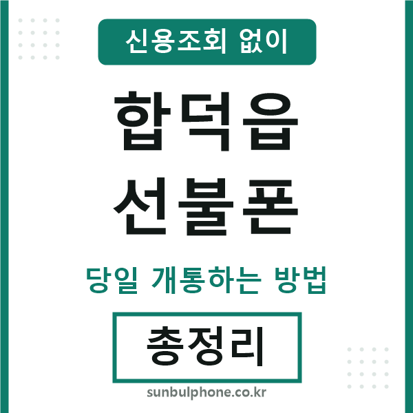 합덕읍선불폰