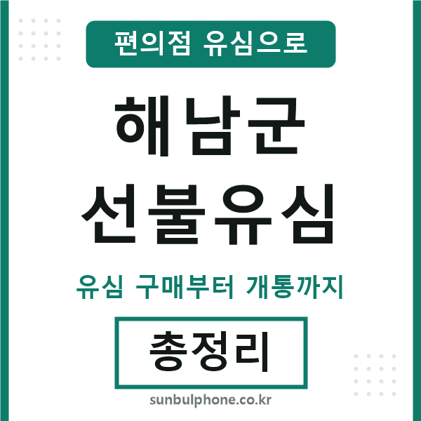 해남선불유심