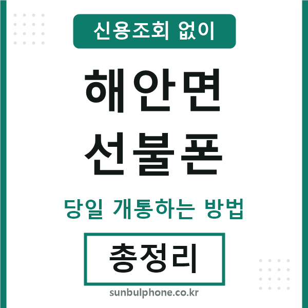 해안면선불폰