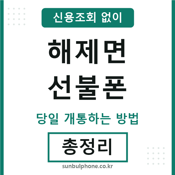 해제면선불폰