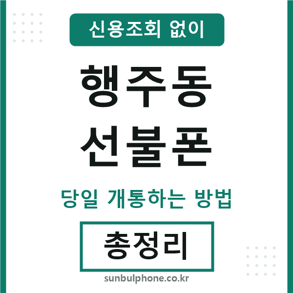 행주동선불폰