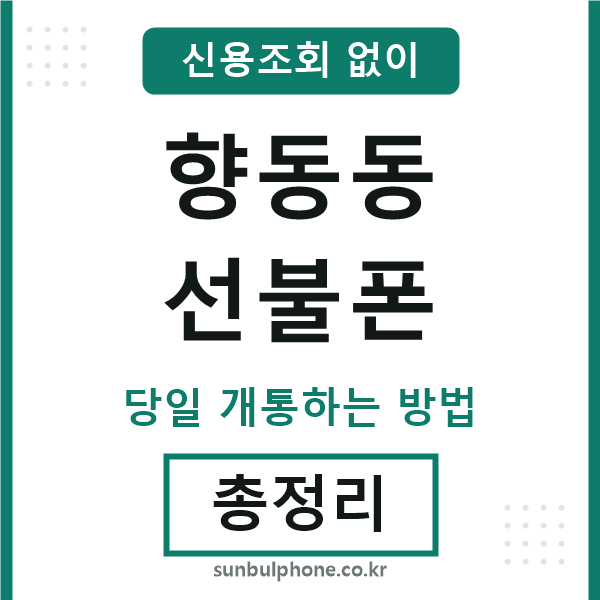 향동동선불폰