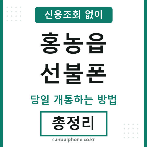 홍농읍선불폰