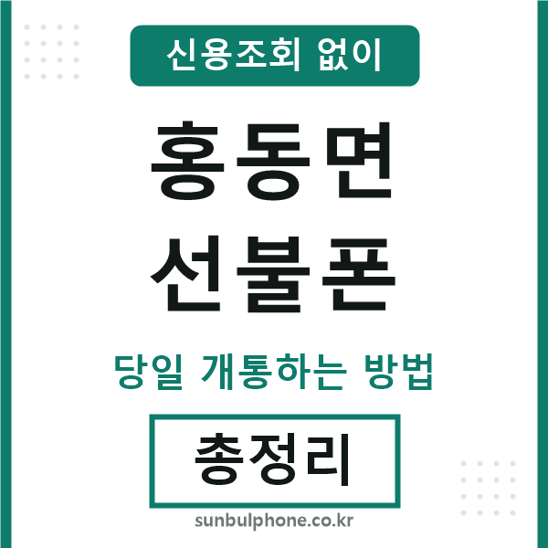 홍동면선불폰