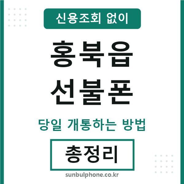 홍북읍선불폰