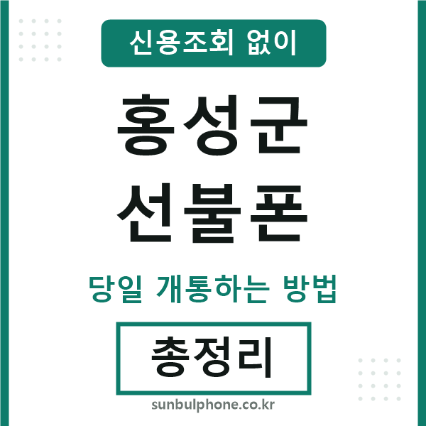 홍성군선불폰