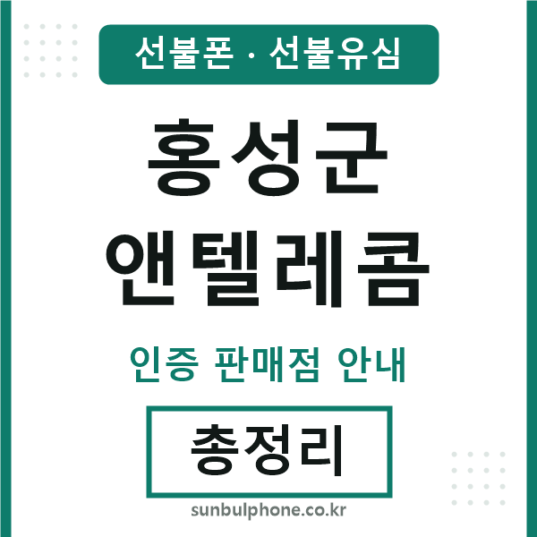 홍성엔텔레콤