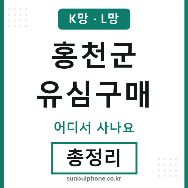 홍천군 유심구매