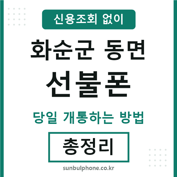 화순군동면선불폰