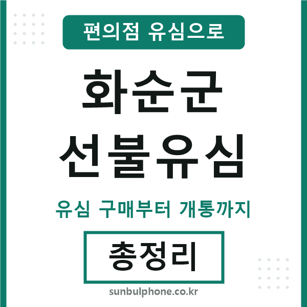 화순선불유심