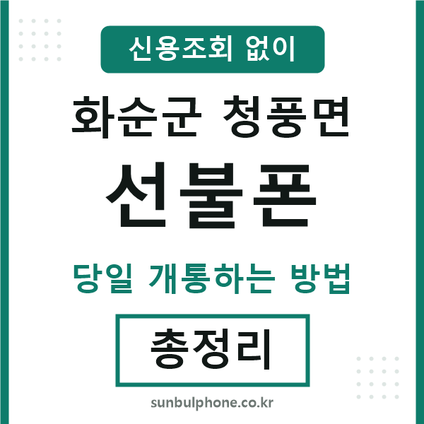 화순군청풍면선불폰