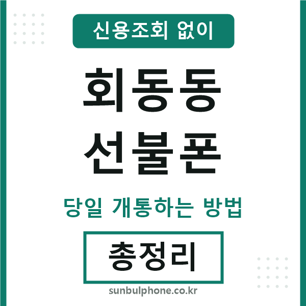 회동동선불폰