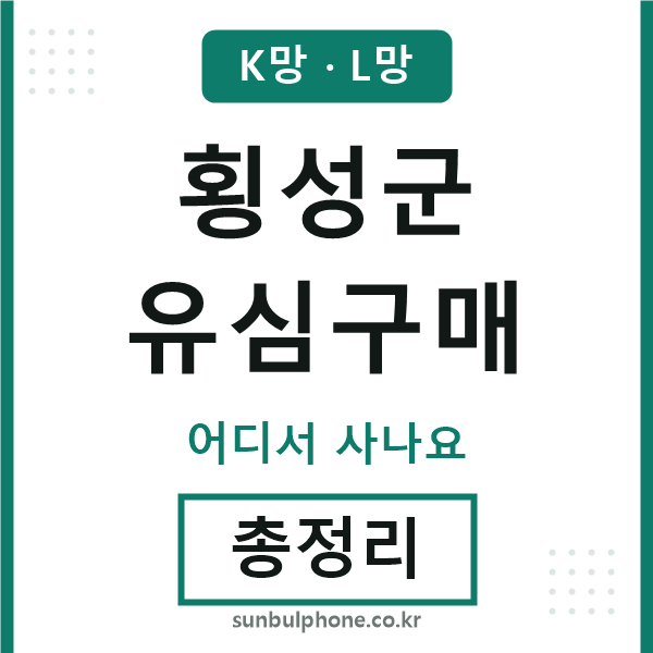 횡성군 유심구매