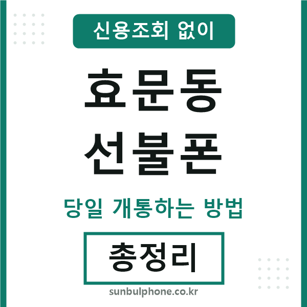 효문동선불폰