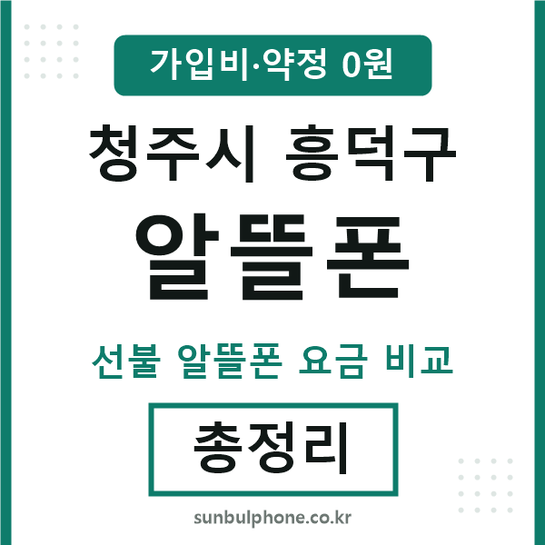 흥덕 알뜰폰