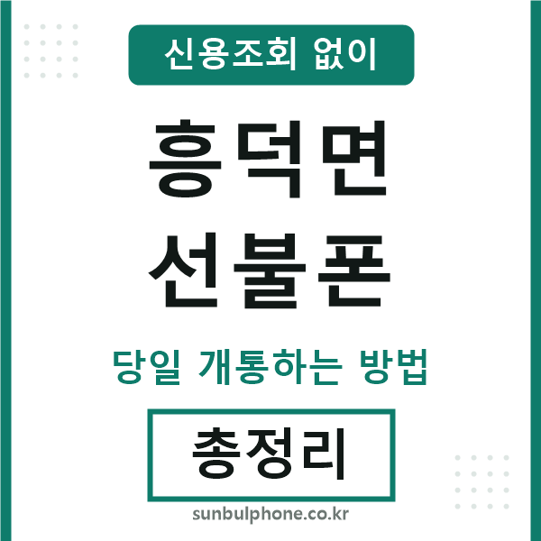 흥덕면선불폰