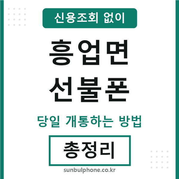 흥업면선불폰