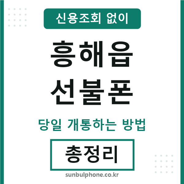 흥해읍선불폰